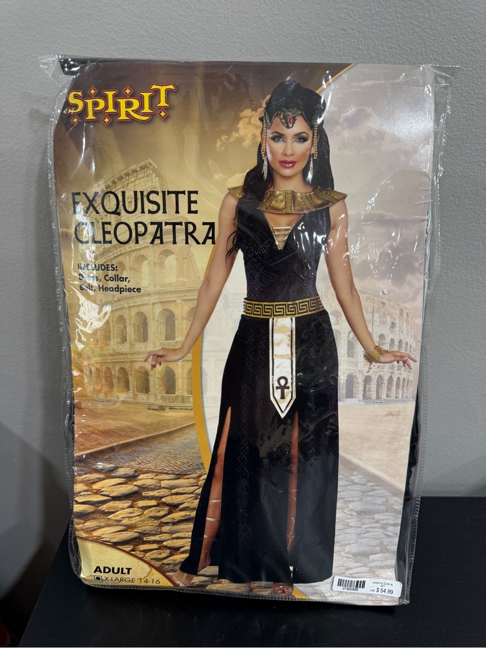 Spirit Women's Black and Gold Exquisite Cleopatra Costume